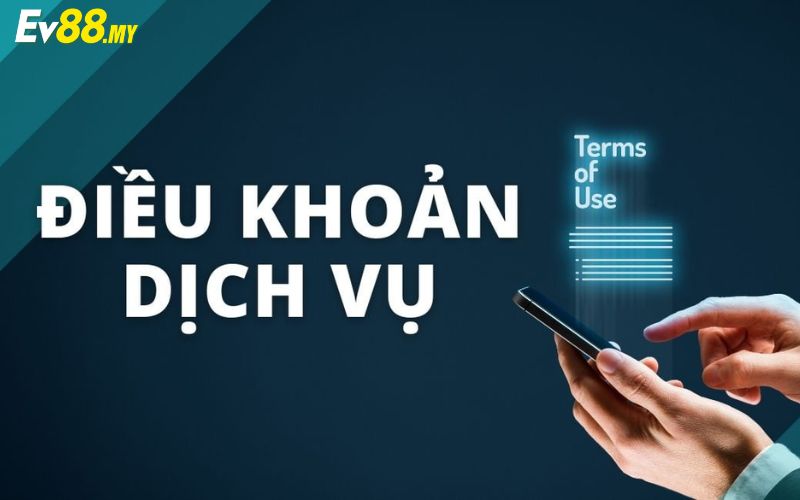 Điều khoản sử dụng C54